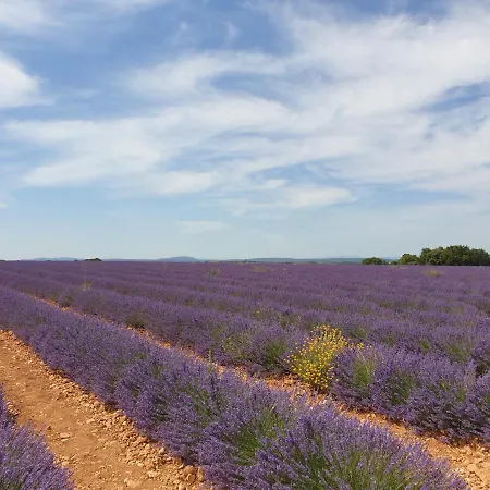 Villa Location Saisonniere *