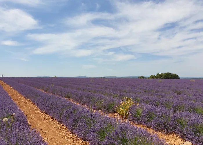 Villa Location Saisonniere *